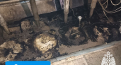 В Коми из горящего производственного цеха самостоятельно эвакуировались 20 человек