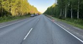 В Коми нетрезвый водитель "ВАЗ-2115" опрокинулся в кювет